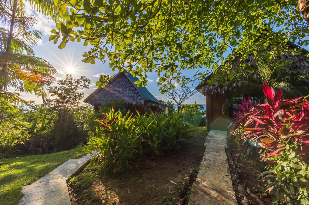 Punta Marenco Lodge Drake Bay Exterior foto
