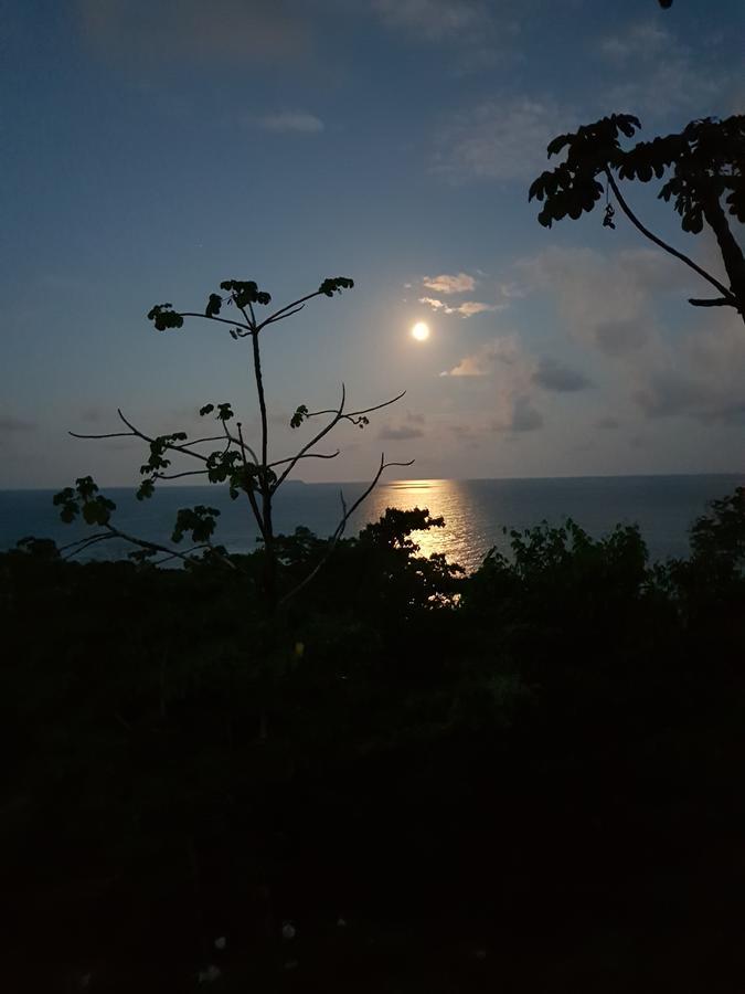 Punta Marenco Lodge Drake Bay Exterior foto